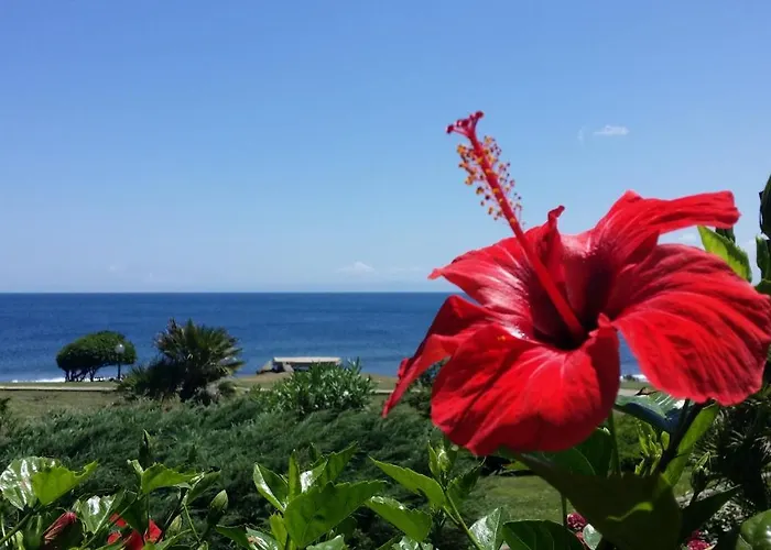 Sogno Sul Mare