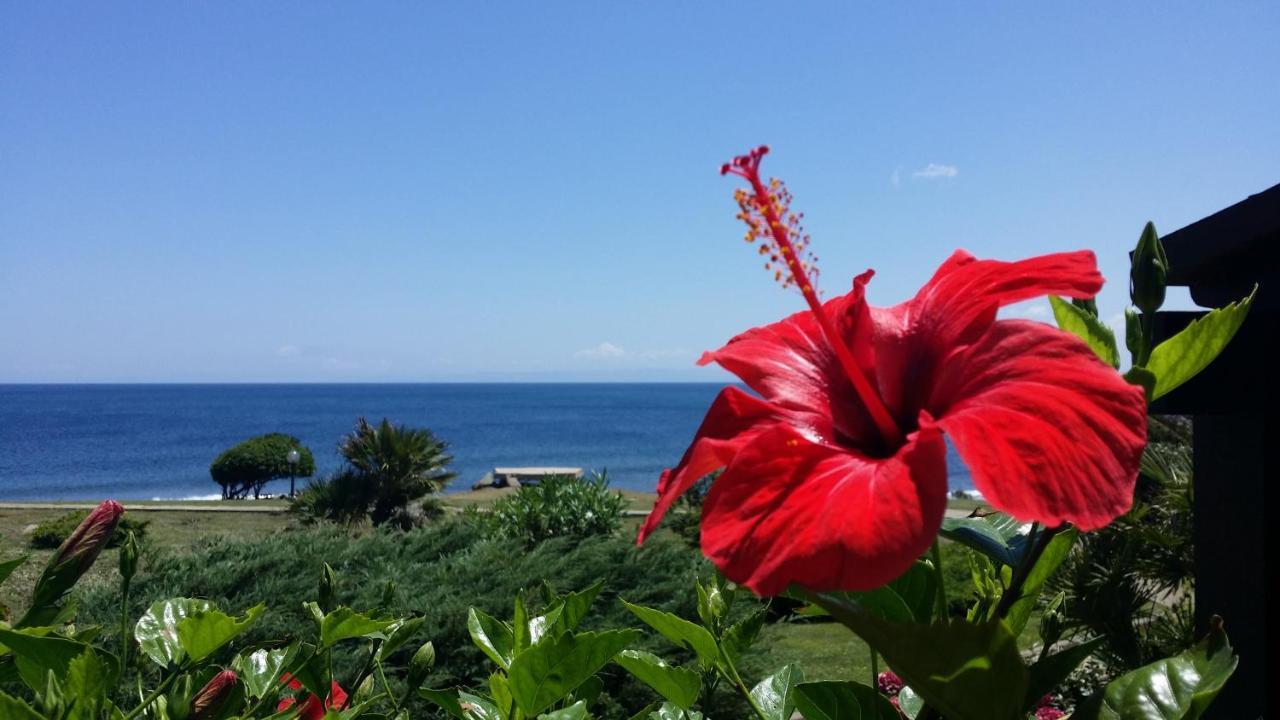 Apartment Sogno Sul Mare