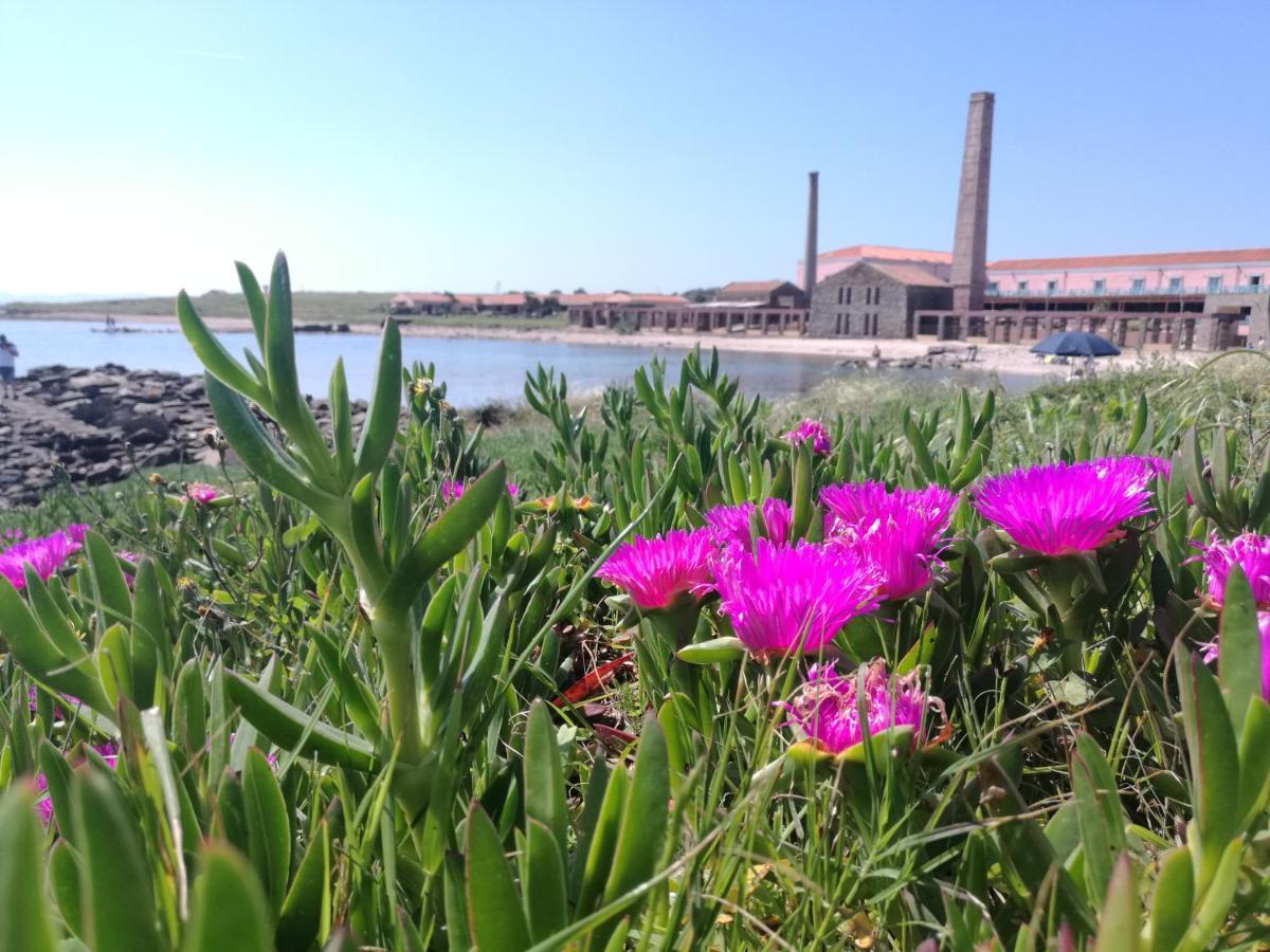 Apartment Sogno Sul Mare Stintino