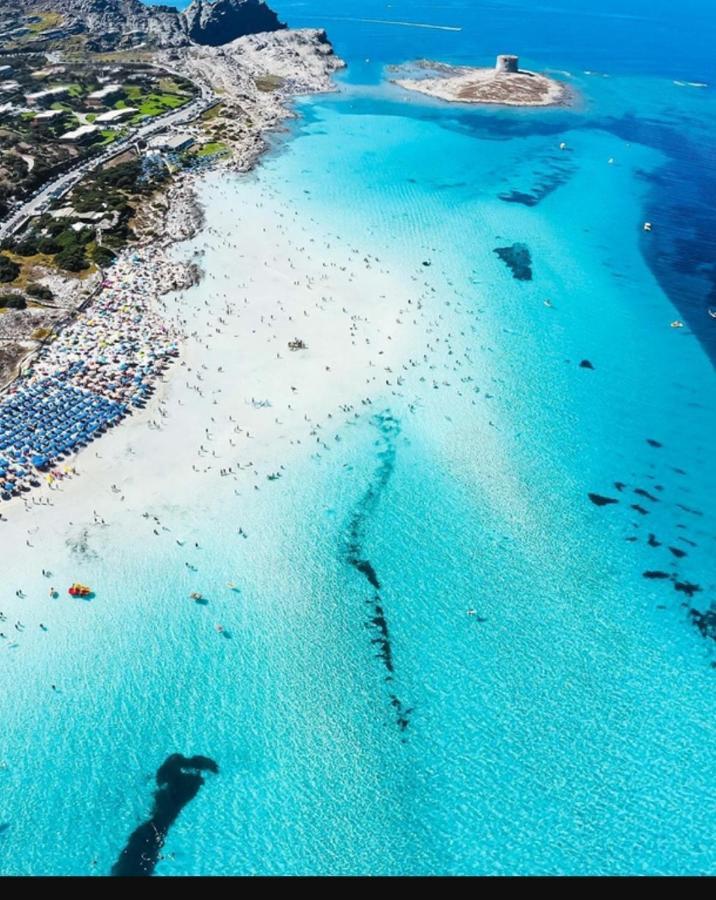 Sogno Sul Mare Apartment *